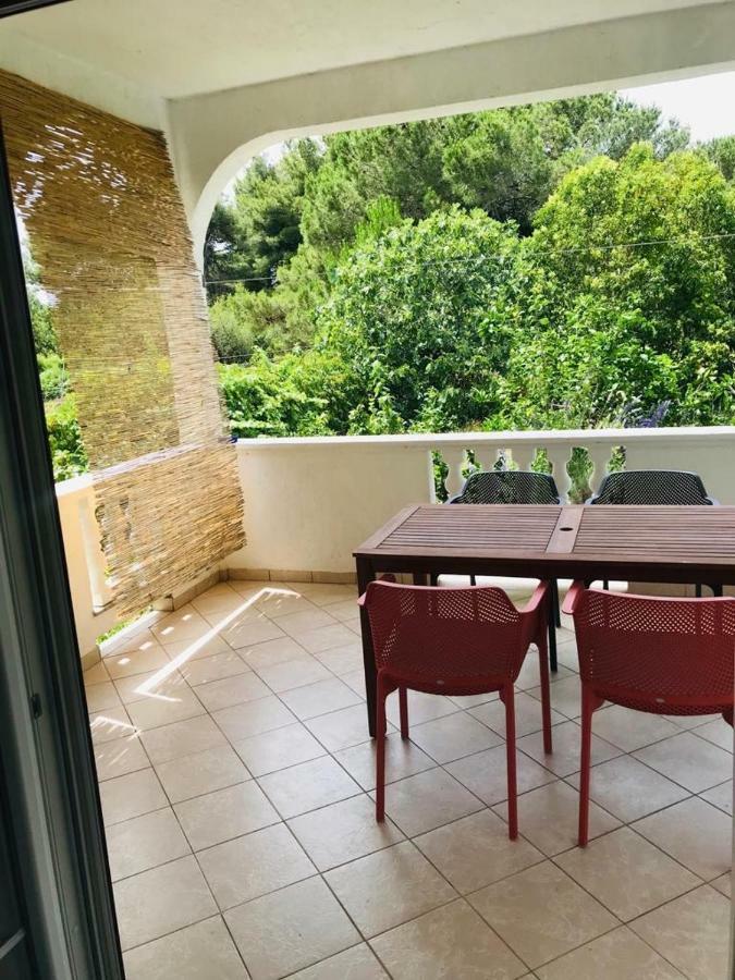 זאדאר Apartments Biba מראה חיצוני תמונה